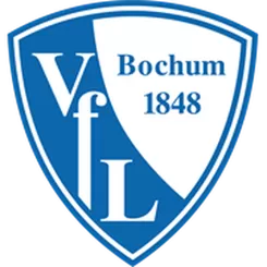 波鸿 图标