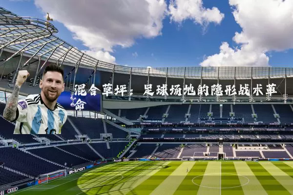 混合草坪:足球场地的隐形战术革命